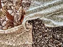 480786108_122243452496030642_8699425918345552667_n.webp